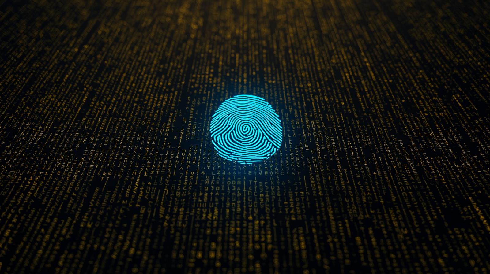 Thought Signatures: A Auditoria Forense